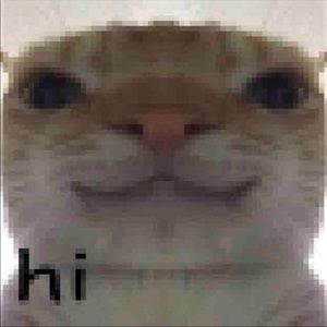 Meet your Posher, Jasmyn